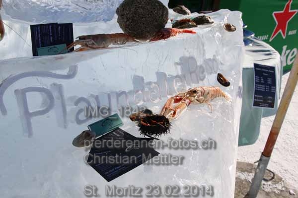 IMG 1842 prot